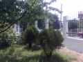 Новата ограда